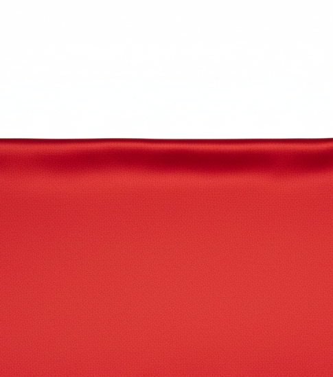 Red Satin Tassel-Hem Dress